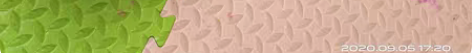 幼儿园被褥包，全新，15元，高新园区万达附...