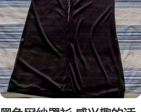 黑色网纱罩衫 感兴趣的话点“我想要”和我私...