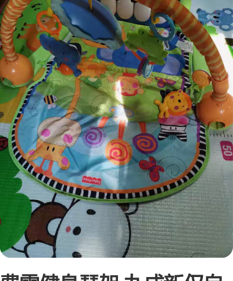 费雪健身琴架 九成新仅自提地铁一号线闸弄口...