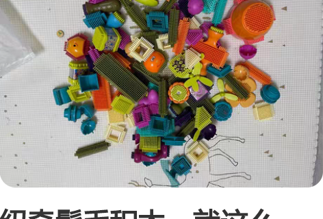 纽奇鬃毛积木，就这么一袋，多少个我也没数，...