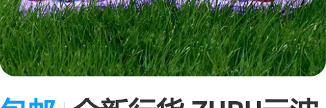 包邮全新行货 ZURU云波独角兽魔法蛋之抱...