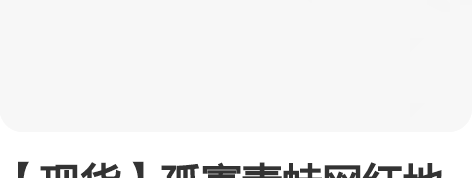 【现货】孤寡青蛙网红地摊热品双眼亮灯发光弹...