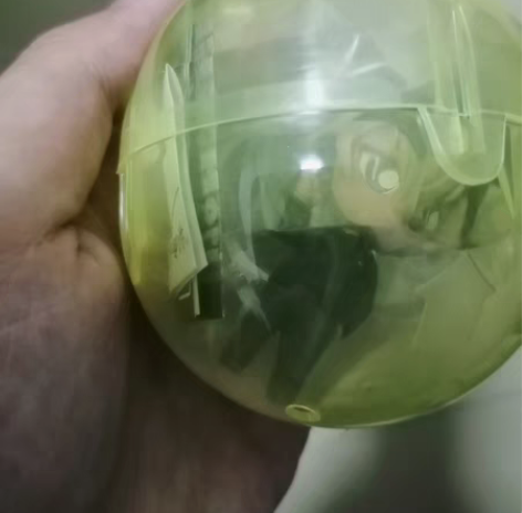 深圳书城万代扭蛋机扭的，出安室透全新未拆，...