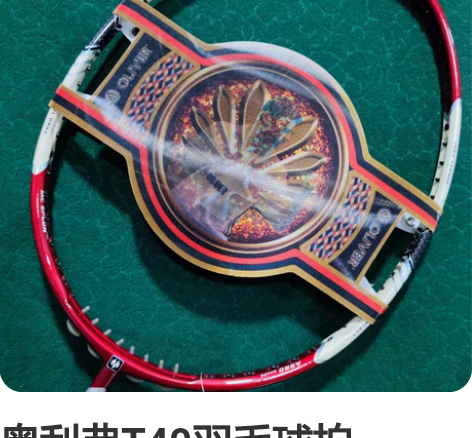 奥利弗T40羽毛球拍OLIVER羽毛球拍 ...