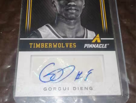 戈尔吉.迪昂，森林狼，现已加盟马刺队，曾单...