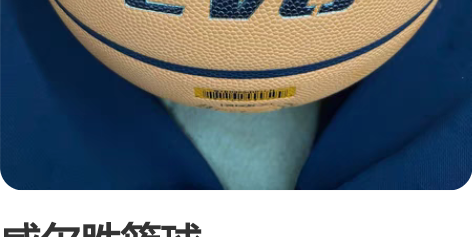 威尔胜篮球wtb0965ib07cn，仅拆...