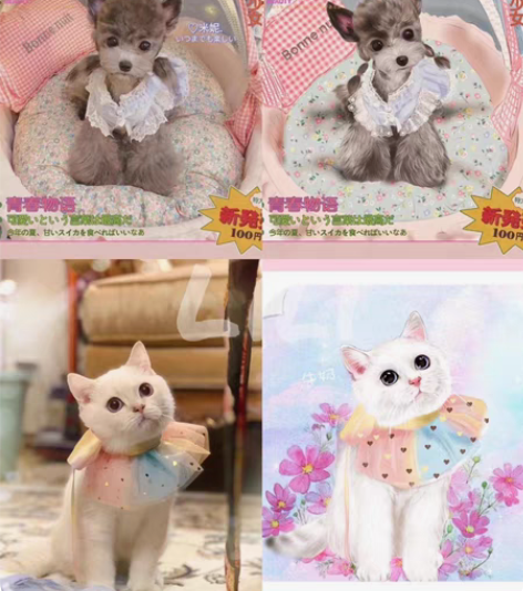 宠物手绘头像壁纸卡通头像写实画手机壳钥匙扣...