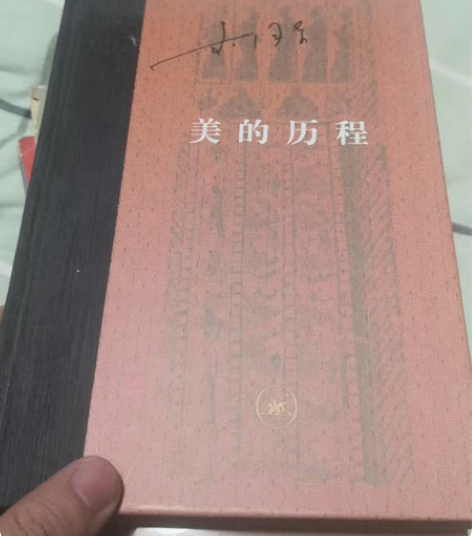 美的历程，精装版。 感兴趣的话点“我想要”...