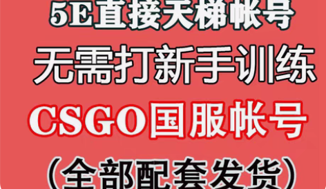 包邮csgo5e天梯账号 纯手打csgo ...