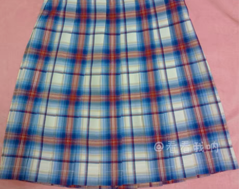 退坑出物 求求看看孩子叭 胖头鱼jk制服 ...