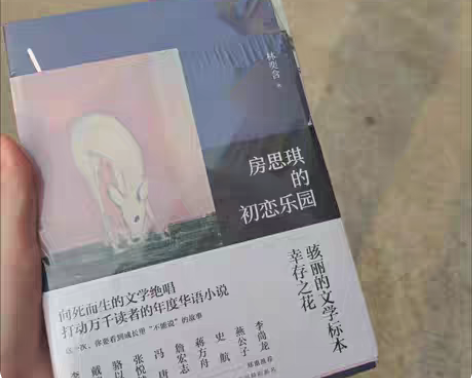 包邮房思琪的初恋乐园中文版无删减林奕含女性...