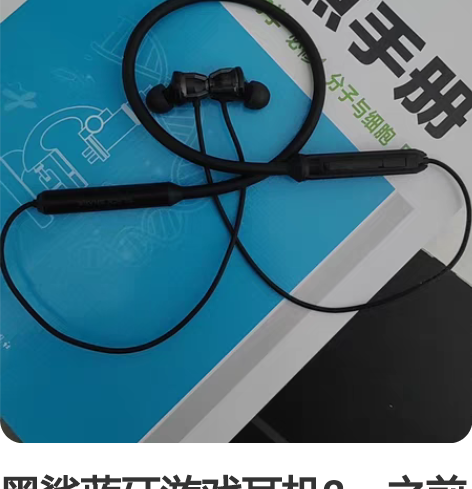 黑鲨蓝牙游戏耳机2,之前的黑鲨手机坏了,换...