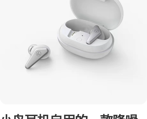 小鸟耳机自用的一款降噪白色，给老婆买的不用...
