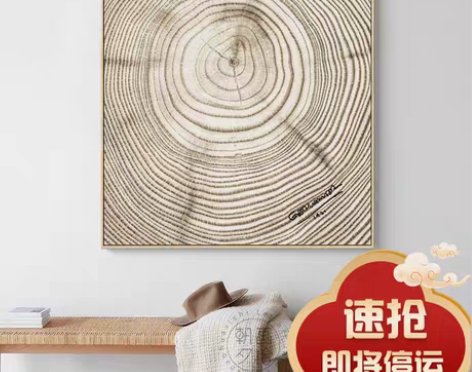 转卖百年孤独 北欧现代简约大树年轮木纹抽象...