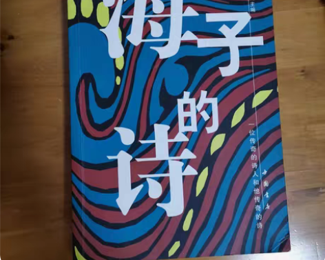 书名:《海子的诗》 主编:周易 出版社:中...