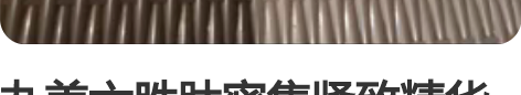 丸美六胜肽密集紧致精华面霜15g紧致去淡化...