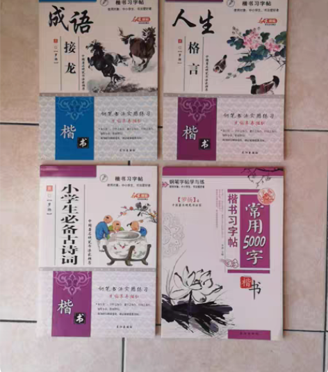 中小学生楷书钢笔练字帖正楷入门临摹字帖儿童...