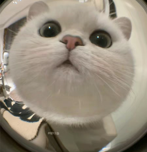 收收收！三个月粉笔行测申论会员， 带价私聊...