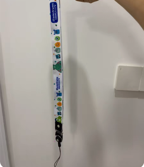 iPhone CASETiFY手机壳 手机...