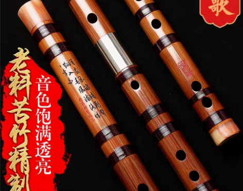 笛子初学成人降E调，全新，放家里闲置了，一...