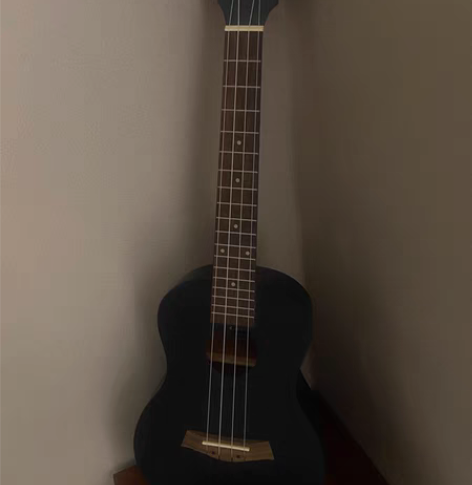 尤克里里.8成新,海南带回来的.500买的...