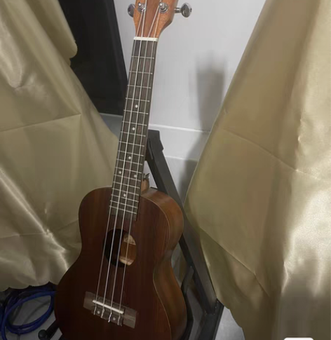 ipusen 23寸尤克里里，几乎全新，给...