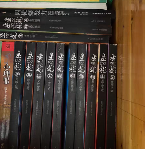盘龙，实体书，一共13本，小说，番茄，作者...