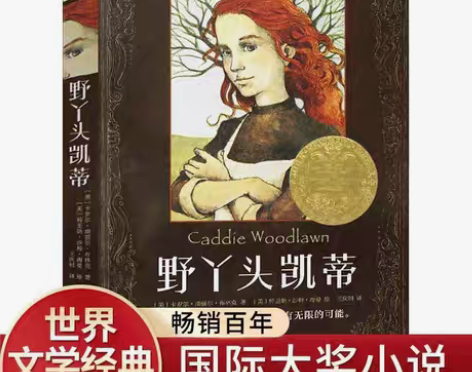 包邮野丫头凯蒂野丫头凯蒂长青藤国际大奖小说...