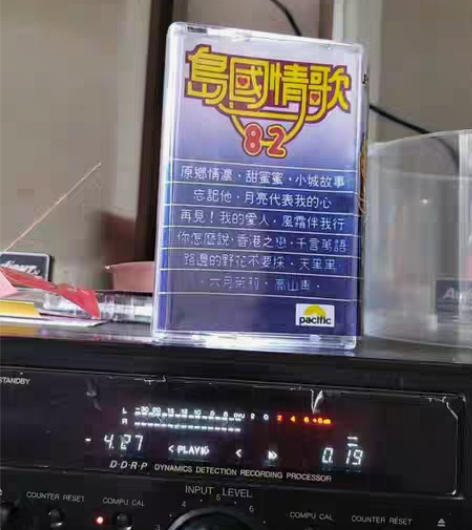 邓丽君82首金曲串烧联唱，岛国情歌82，原...