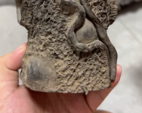 包邮清 陶烧仿随形笔筒 直径约8.5cm高...