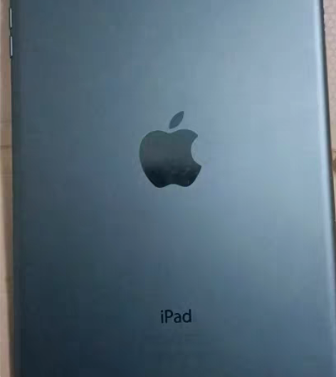 iPad mini 配置如下图所示 版本...