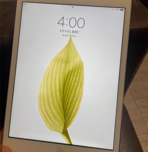 iPad mini。什么时候买的忘记了，换...