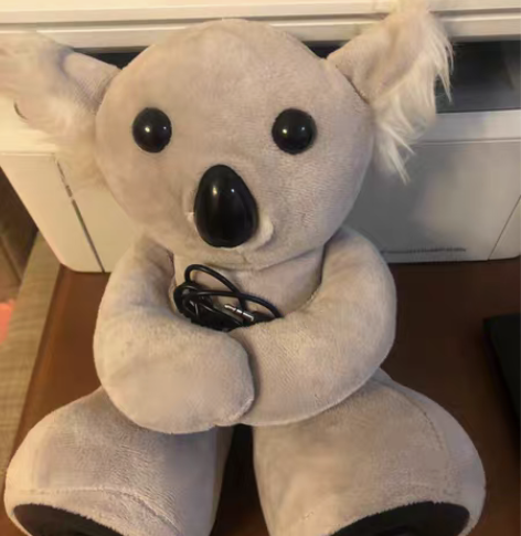 包邮有线音箱，在美国买的，是一只小考拉，音...