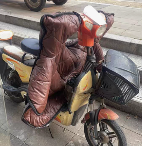 自用旧电动车转卖，400出，同城自提。谢绝...