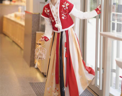 转卖唐制汉服女冬季唐褙子齐腰襦裙全套中国风...