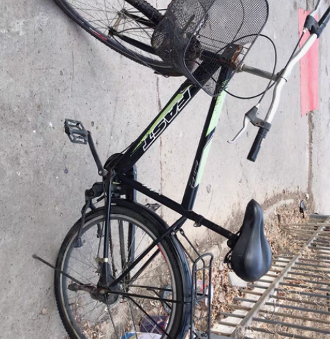 经典飞鸽26自行车  骑起来轻  哈萨克大...