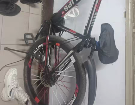 11速100%全新PHILLIPS品牌山地...