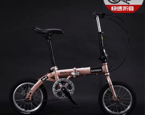 转卖16寸14寸折叠迷你超轻便携成人儿童学...