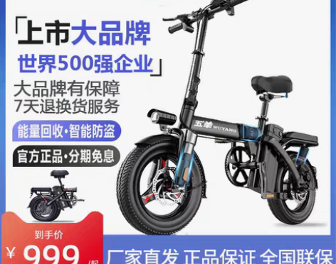 转卖替家里人出|五羊电动车折叠车新国标电动...