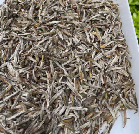 包邮[666]2014（湖林村）高山老银针...