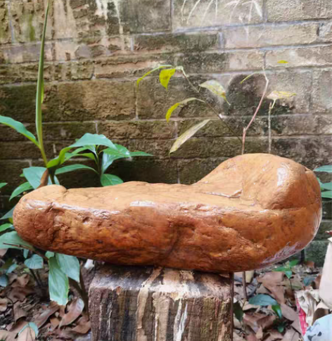 包邮河石 泯江河流大品黄蜡石。茶品台.奇...