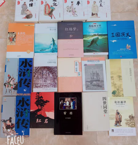 高中必读图书（红楼梦，老人与海，红岩，巴黎...