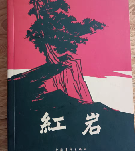 红岩，只写了名字，家里有两本，这个没看过，...