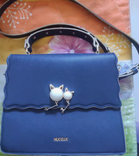 纽芝兰（NUCELLE）包包女包爆款单肩包...