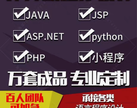 计算机程序设计java系统php网站pyt...