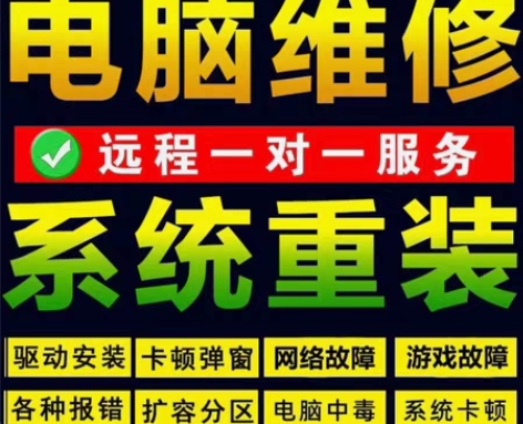 包邮在线远程重装系统安装电脑维修网络问题蓝...