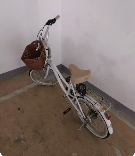 品牌：上海永久 型号：22寸（不确定，小于...