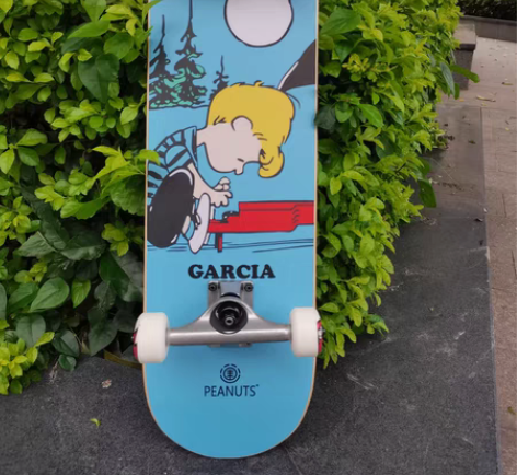 包邮初学，入门，专业滑板美国进口Eleme...