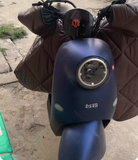台铃萌苏EB电动车 22年10月份买的，现...