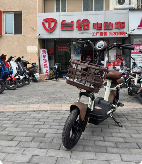 包邮台铃电动车 续航45公里 小刚豆159...